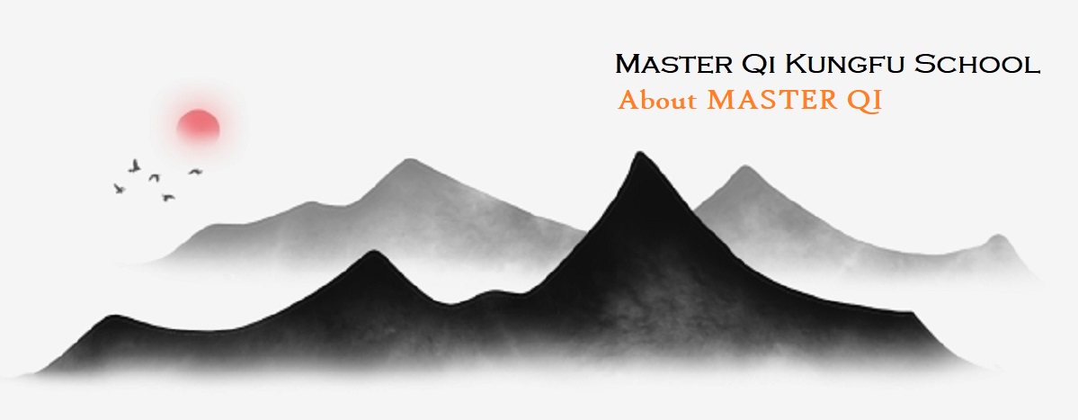 master Qi page header